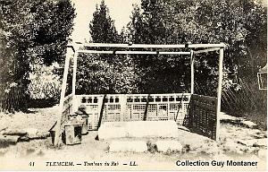 TLEMCEN 145- COLLECTION MONTANER